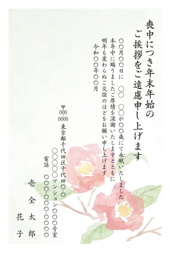 t_stt0266h_pk00