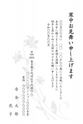 t_bwt0247h_gy00